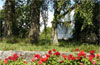 Ferienwohnung Hinterm Schloss Staufen Breisgau