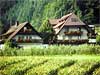 Ferienwohnungen Bauernhof Kropbachhof Staufen Breisgau Schwarzwald