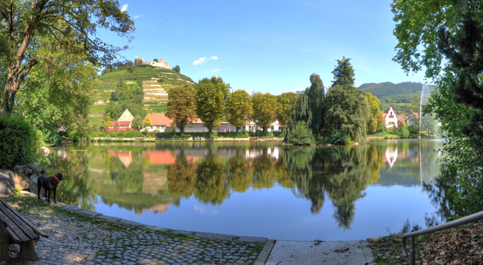 Stadtsee mit Scholssberg im Hintergrund